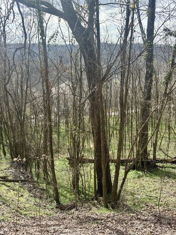 323 Seaton Dr, Smithville, TN 37166