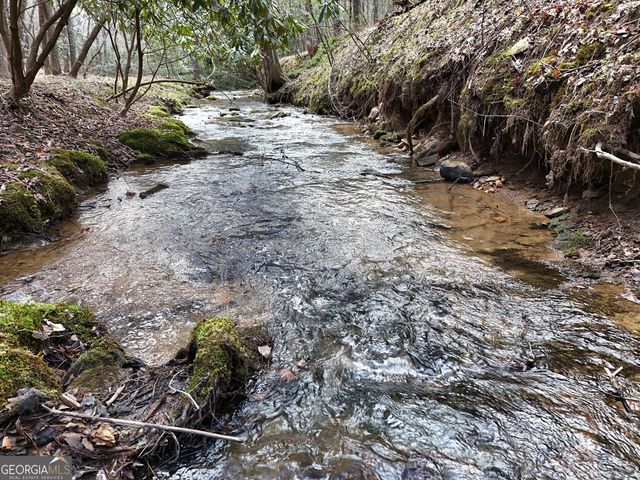 LT 45A Synacia Drive, Mineral Bluff, GA 30559