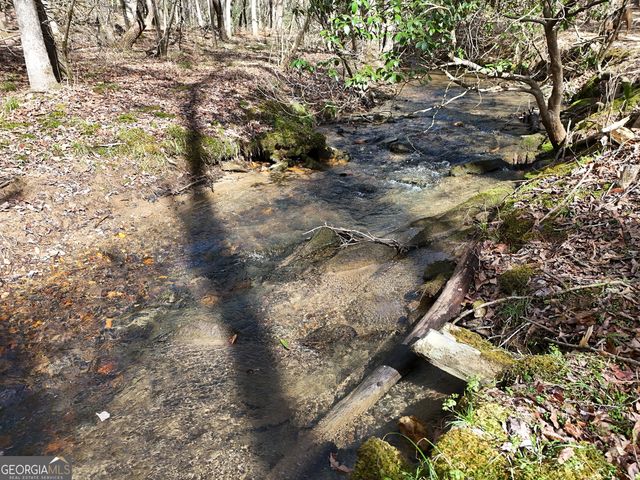 LT 45A Synacia Drive, Mineral Bluff, GA 30559