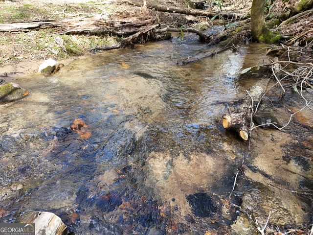 LT 45A Synacia Drive, Mineral Bluff, GA 30559