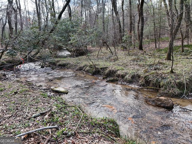 LT 45A Synacia Drive, Mineral Bluff, GA 30559