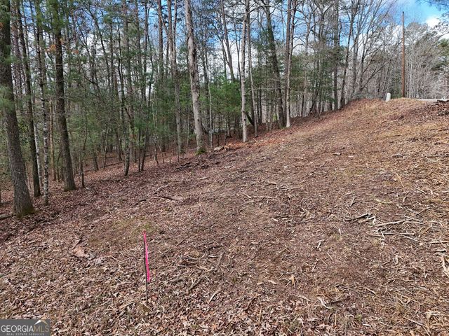 LT 45A Synacia Drive, Mineral Bluff, GA 30559