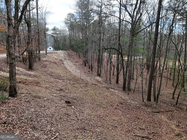 LT 45A Synacia Drive, Mineral Bluff, GA 30559