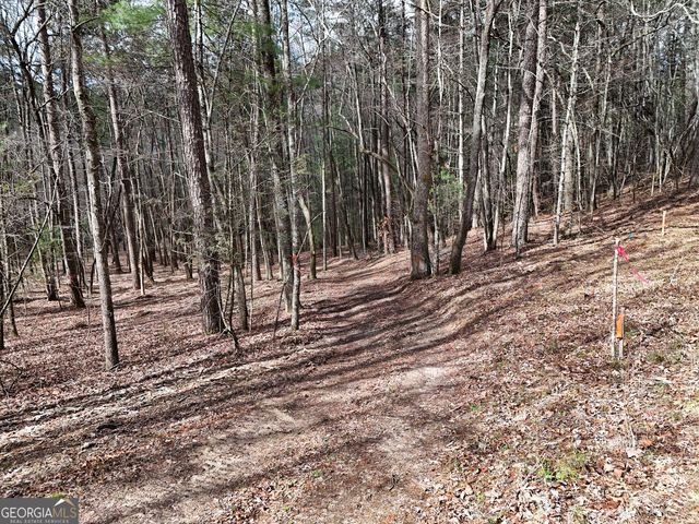 LT 45A Synacia Drive, Mineral Bluff, GA 30559