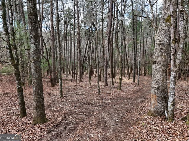 LT 45A Synacia Drive, Mineral Bluff, GA 30559
