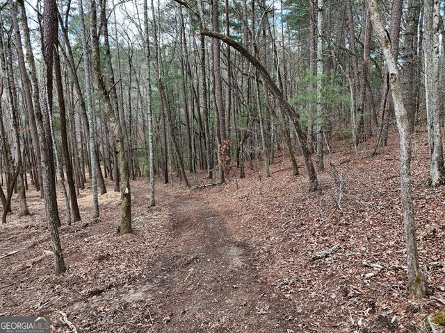 LT 45A Synacia Drive, Mineral Bluff, GA 30559
