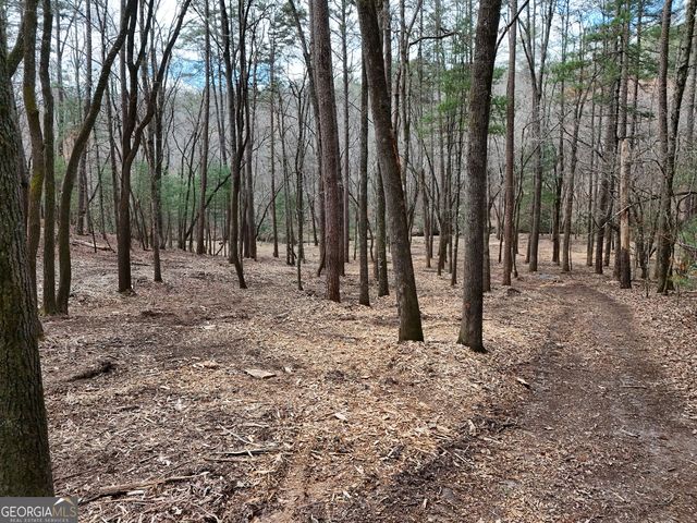 LT 45A Synacia Drive, Mineral Bluff, GA 30559