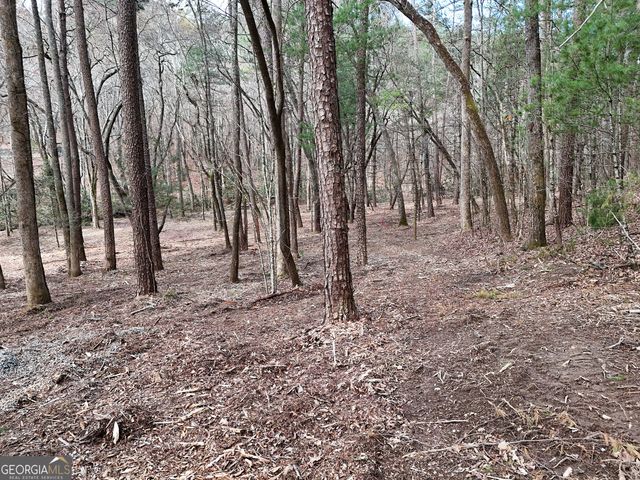 LT 45A Synacia Drive, Mineral Bluff, GA 30559
