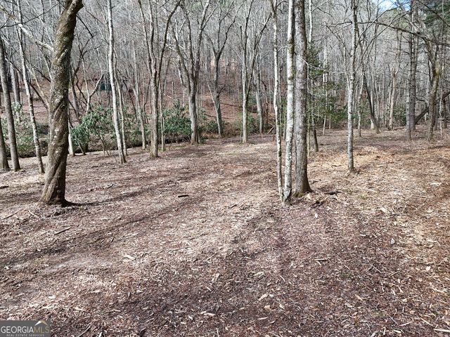 LT 45A Synacia Drive, Mineral Bluff, GA 30559