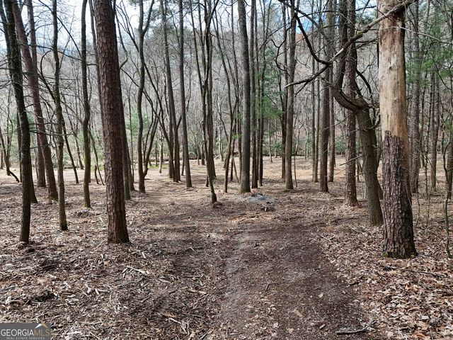 LT 45A Synacia Drive, Mineral Bluff, GA 30559