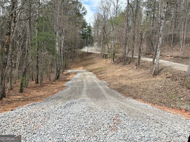 LT 45A Synacia Drive, Mineral Bluff, GA 30559