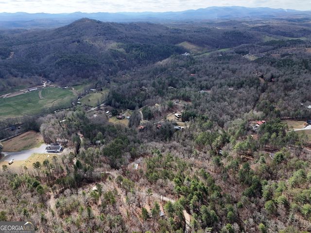 LT 45A Synacia Drive, Mineral Bluff, GA 30559