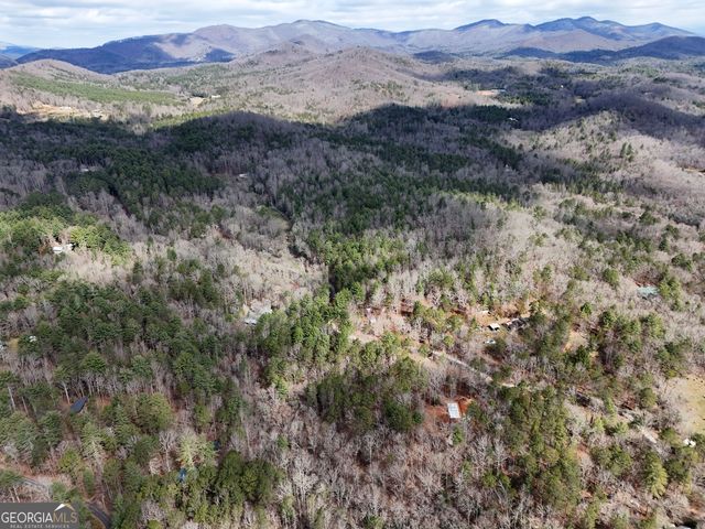 LT 45A Synacia Drive, Mineral Bluff, GA 30559
