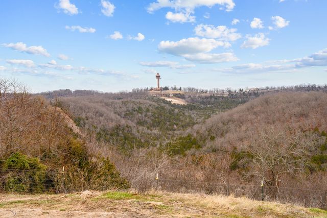 3772 State Highway 265, Branson, MO 65616