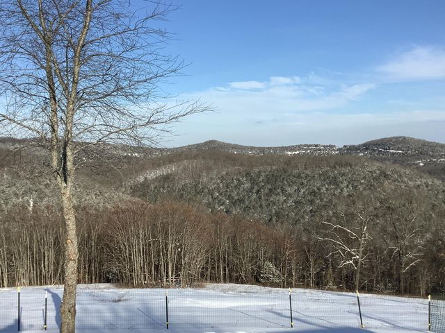 3772 State Highway 265, Branson, MO 65616