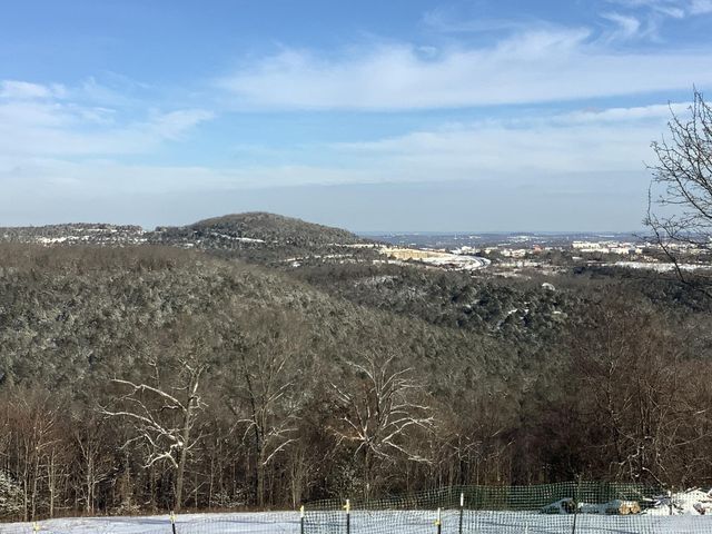 3772 State Highway 265, Branson, MO 65616