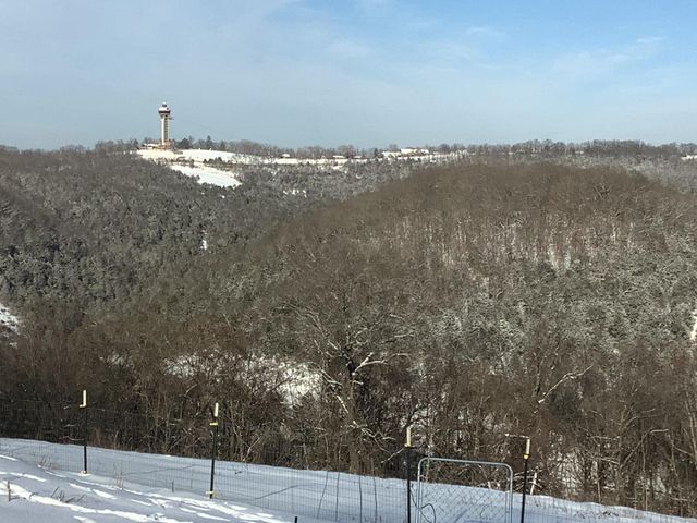 3772 State Highway 265, Branson, MO 65616