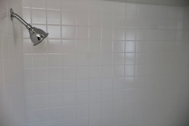 9721 S Albany Avenue 2, Evergreen Park, IL 60805