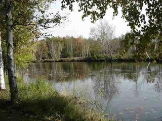 000 No Wake Court, #12, Houghton Lake, MI 48629