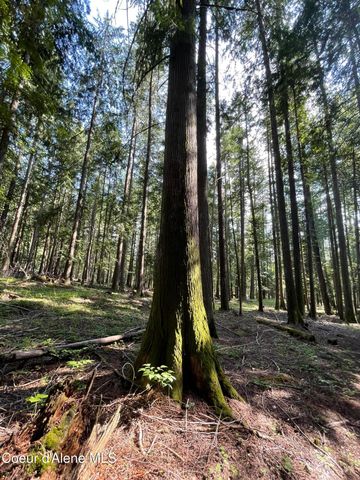 965 Denton Road, Hope, ID 83836