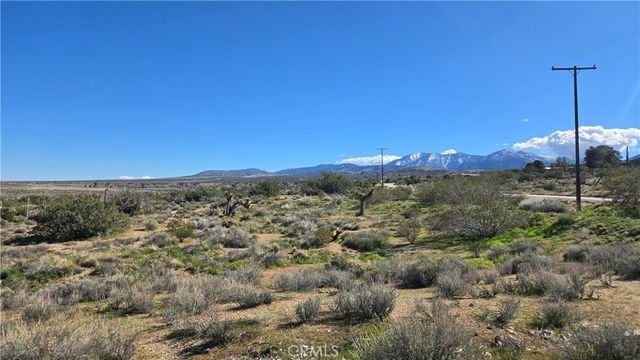 0 Valyermo Road, Pearblossom, CA 93553
