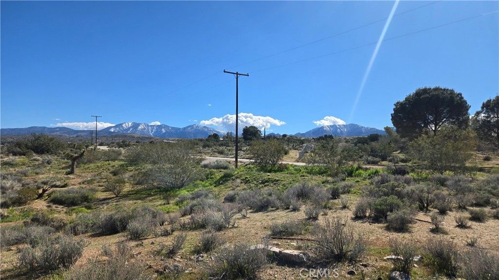 0 Valyermo Road, Pearblossom, CA 93553