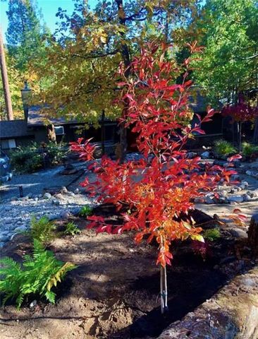 39168 Hill, Bass Lake, CA 93604