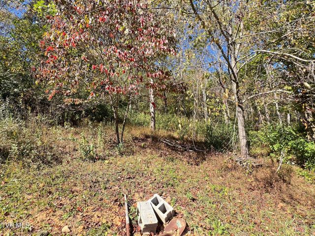 192 Morey Hyder Road, Johnson City, TN 37601