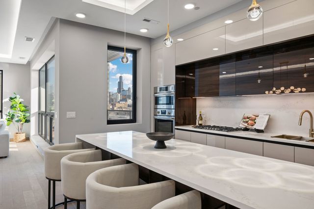 466 N Paulina Street 203, Chicago, IL 60622