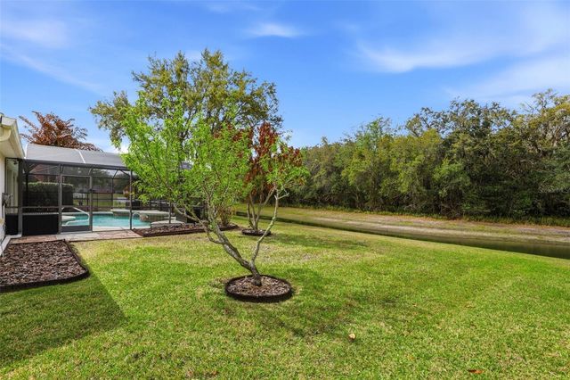 1914 BIG CYPRESS DRIVE, St Cloud, FL 34771