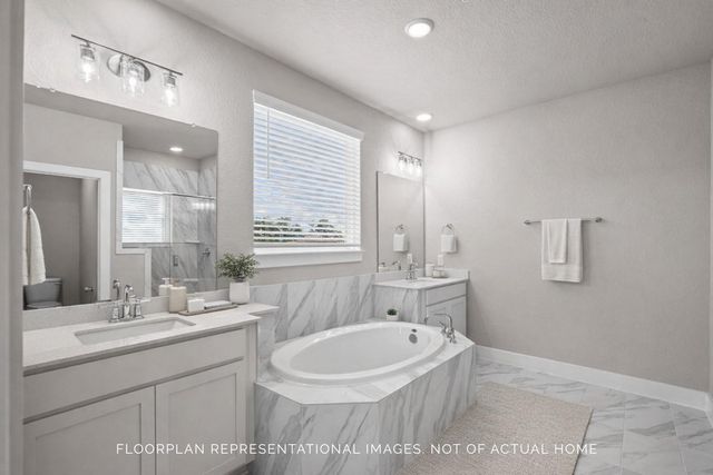 21911 Hibiscus Hedge Trail, Tomball, TX 77447