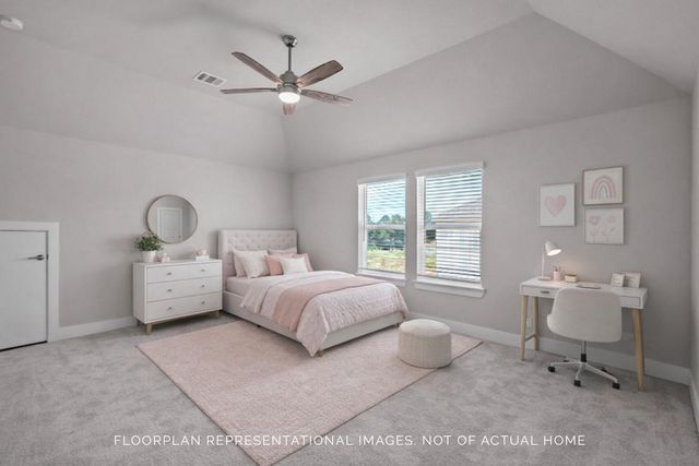 21911 Hibiscus Hedge Trail, Tomball, TX 77447