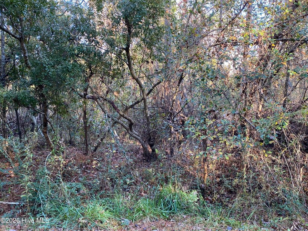 255 Wards Lane, Havelock, NC 28532