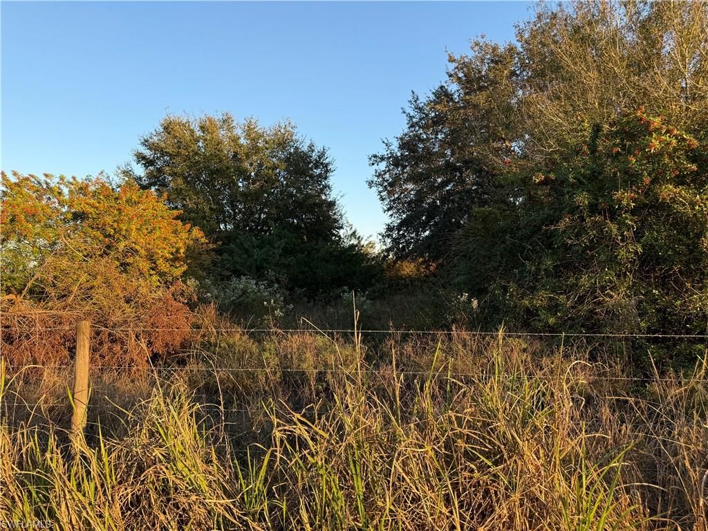 5801 4th RD, LABELLE, FL 33935 — photo 2