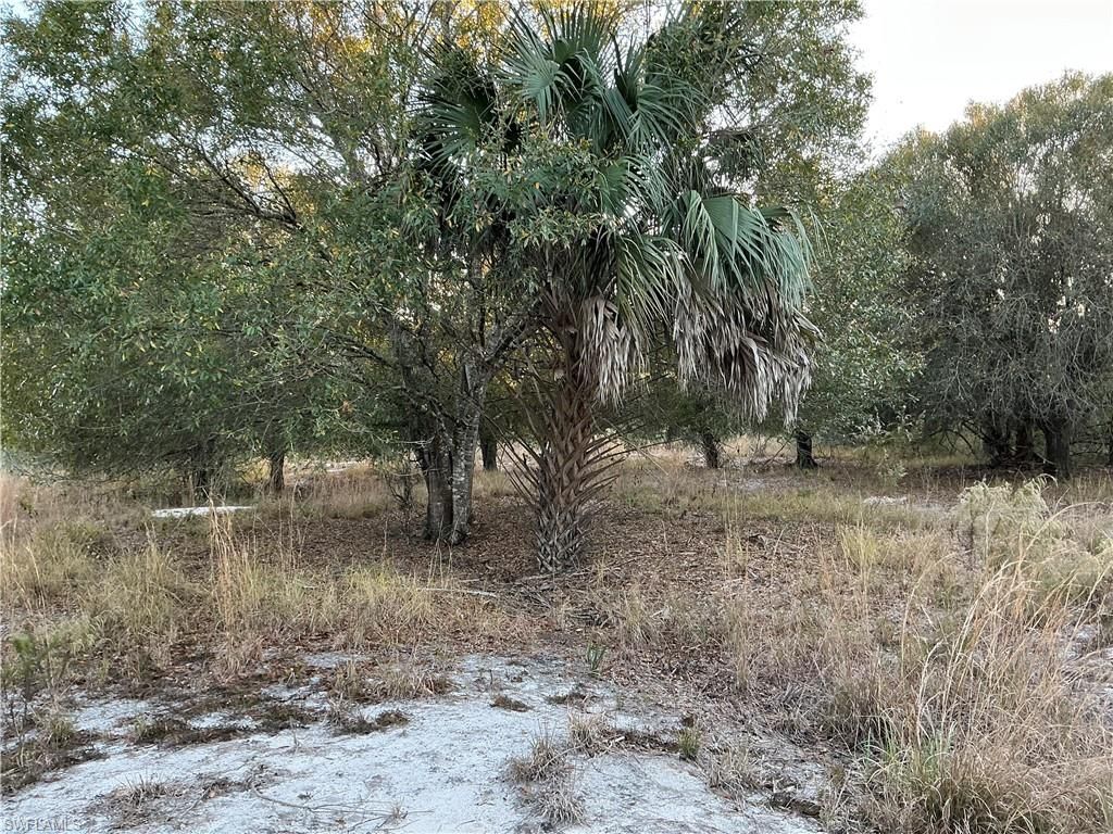 5801 4th RD, LABELLE, FL 33935 — photo 4