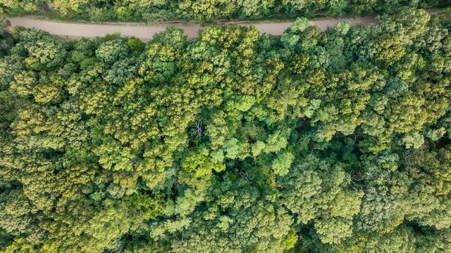 Lot 376 Arabian Lane, Rogers, AR 72756