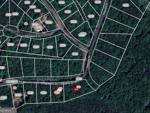 101 Douglas Fir Drive, Waleska, GA 30183