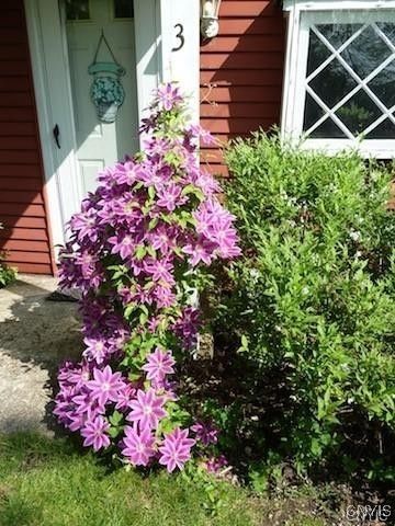 3 Shotwell Lane, Skaneateles, NY 13152