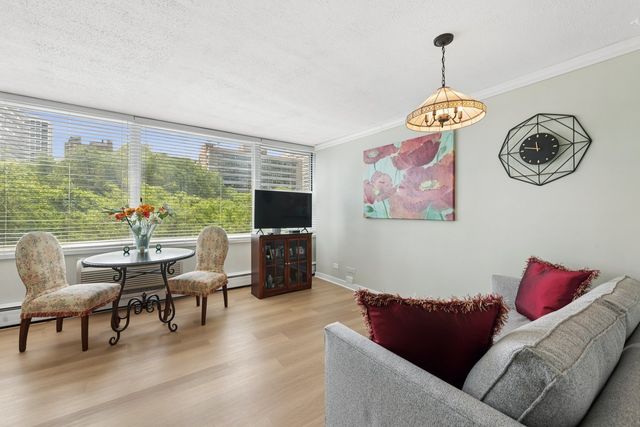 336 W Wellington Street 703, Chicago, IL 60657