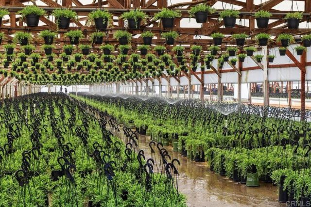 787 Cassou Road, San Marcos, CA 92069