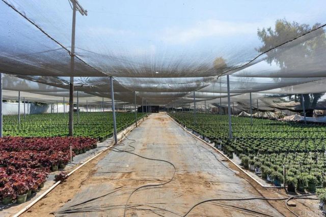 787 Cassou Road, San Marcos, CA 92069