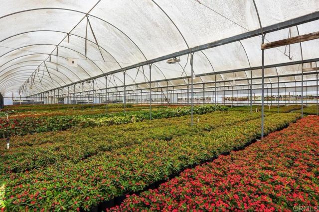 787 Cassou Road, San Marcos, CA 92069