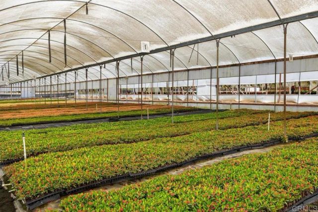 787 Cassou Road, San Marcos, CA 92069