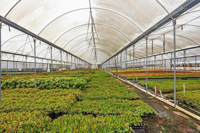 787 Cassou Road, San Marcos, CA 92069