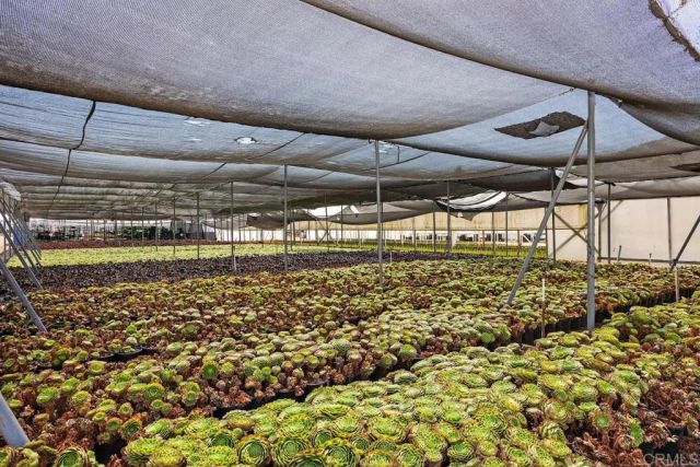 787 Cassou Road, San Marcos, CA 92069