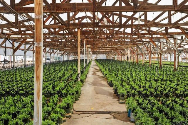 787 Cassou Road, San Marcos, CA 92069