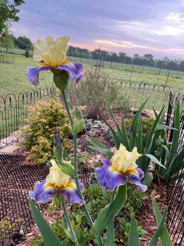 7844 County Road 502, Blue Ridge, TX 75424