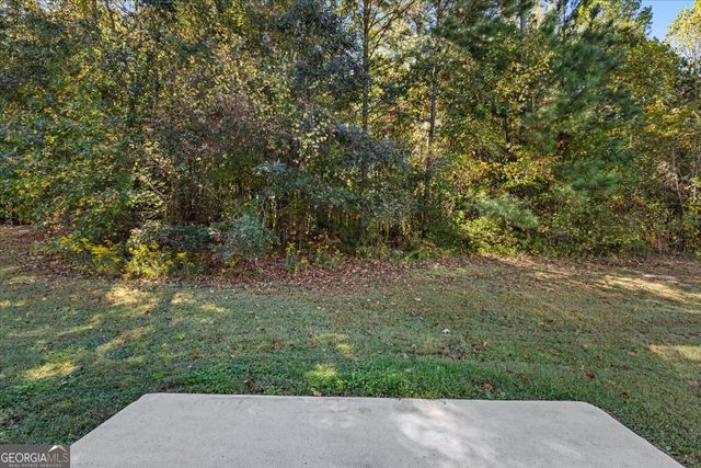 221 Millstone Drive, Hampton, GA 30228