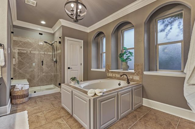 119 Pronghorn Place, Montgomery, TX 77316
