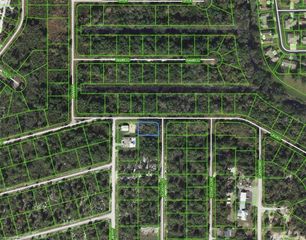 1218 AILANTHUS STREET, Lake Placid, FL 33852